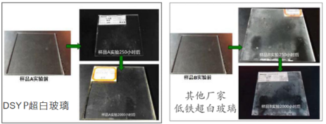 1758511416610265.png 大連耀皮楊繼宏1385.png